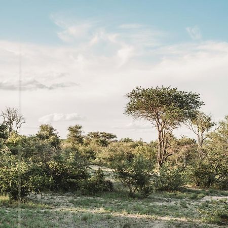 Maroelani Lodge- Greater Kruger Private Reserve Ходспруит Екстериор снимка