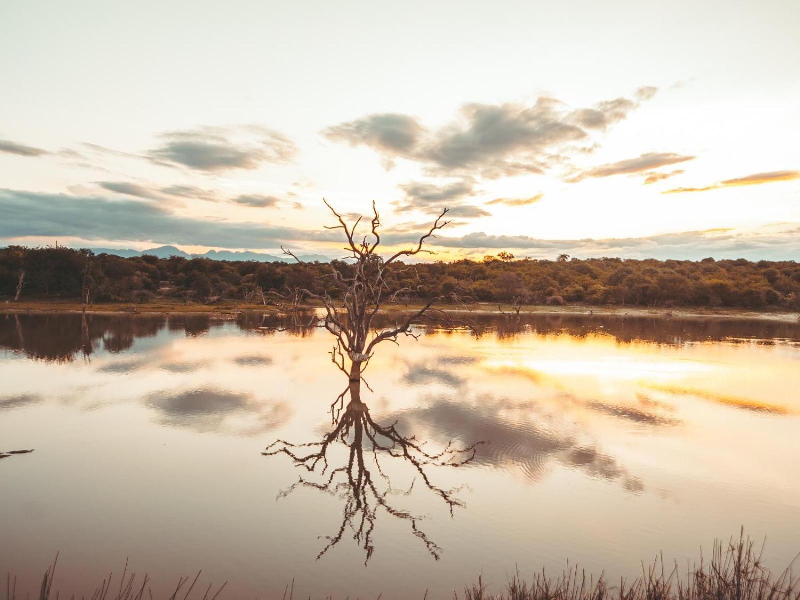 Maroelani Lodge- Greater Kruger Private Reserve Ходспруит Екстериор снимка