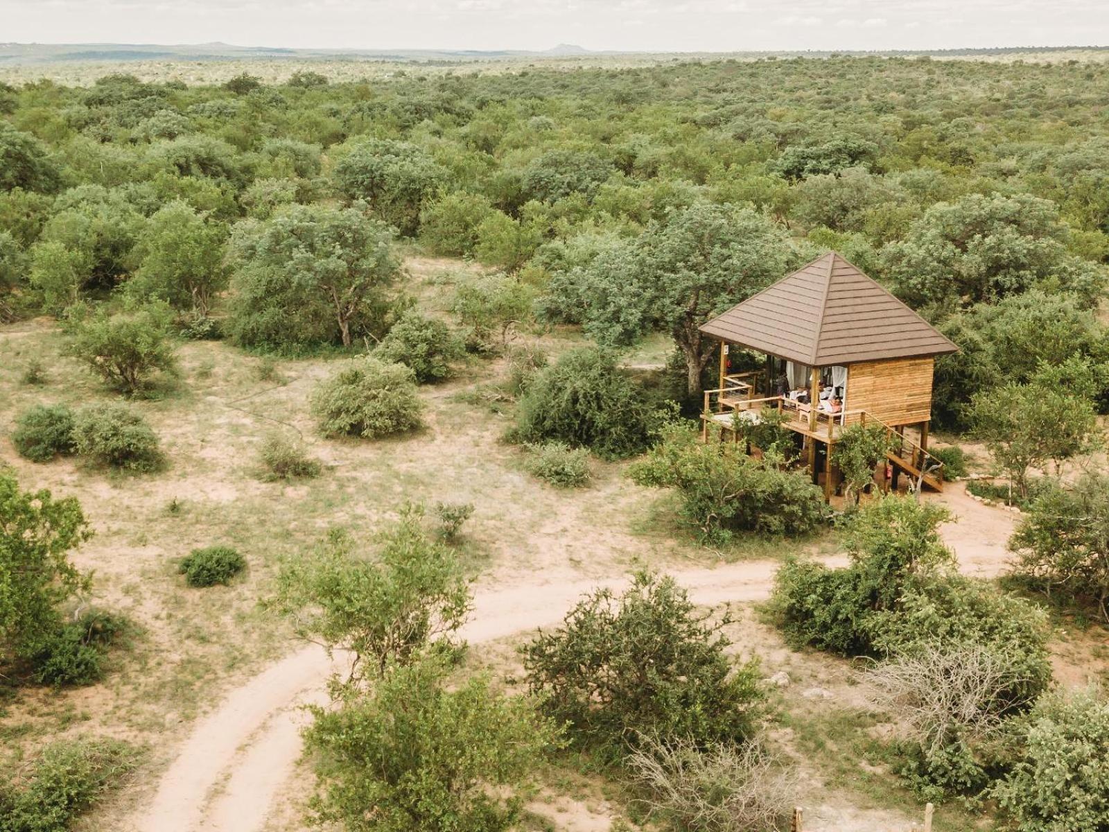 Maroelani Lodge- Greater Kruger Private Reserve Ходспруит Стая снимка