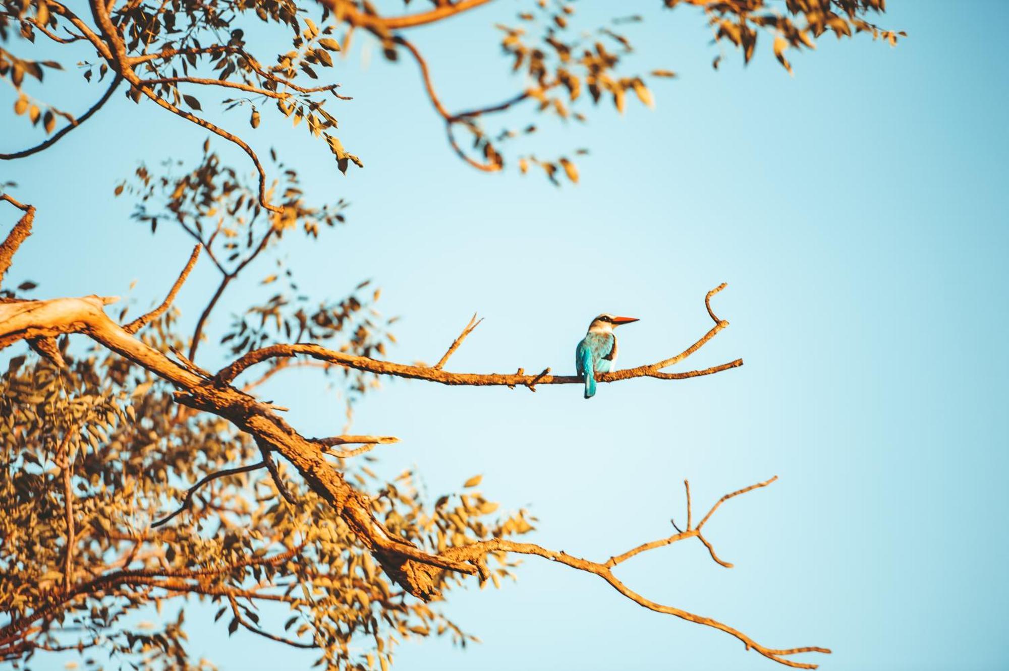 Maroelani Lodge- Greater Kruger Private Reserve Ходспруит Екстериор снимка